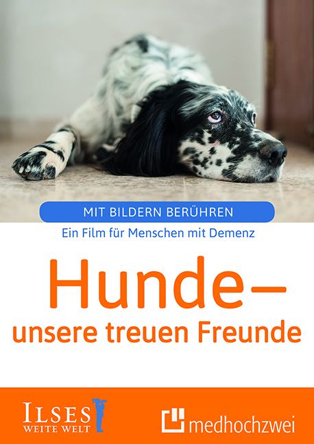 Hunde - unsere treuen Freunde