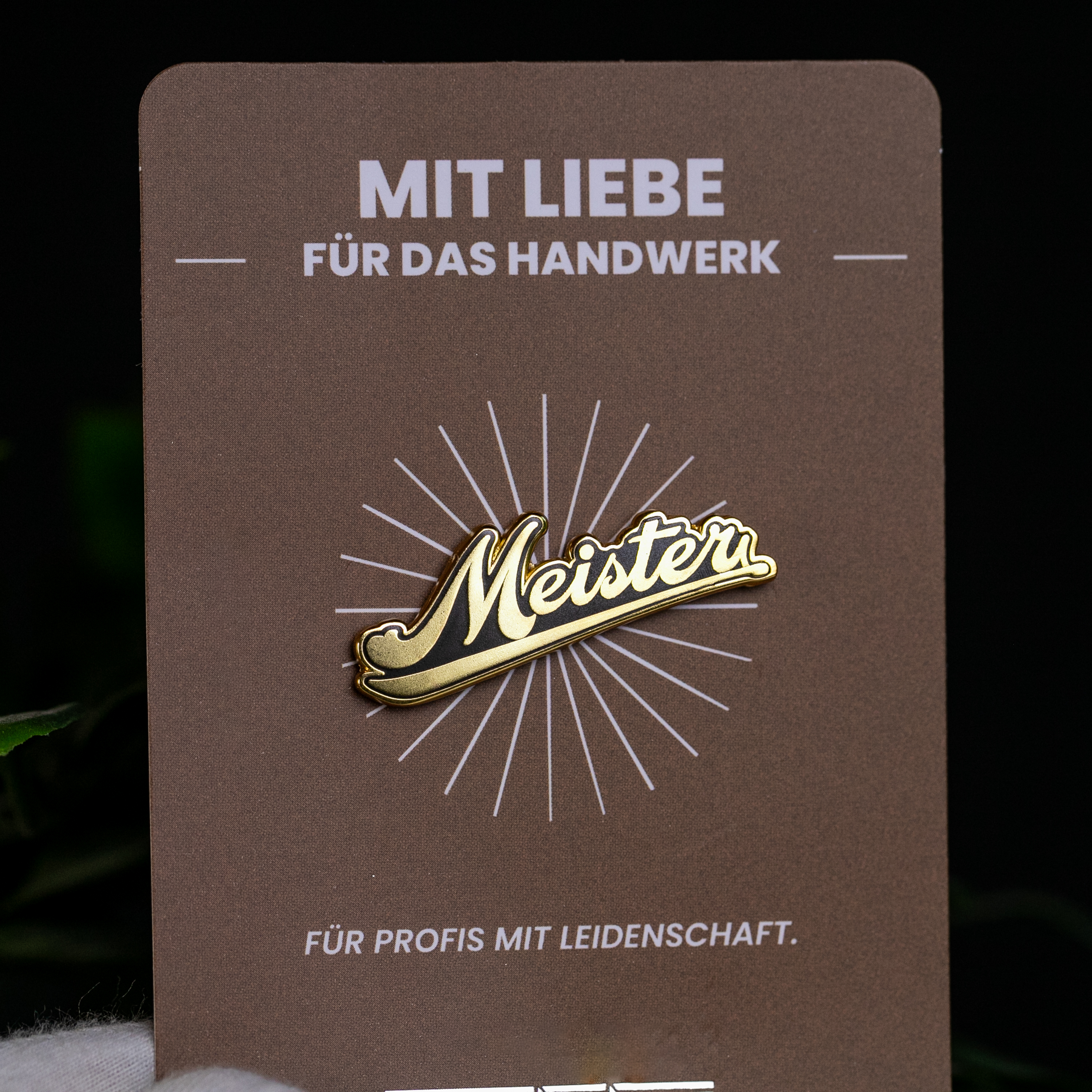 Anstecker "Meister"
