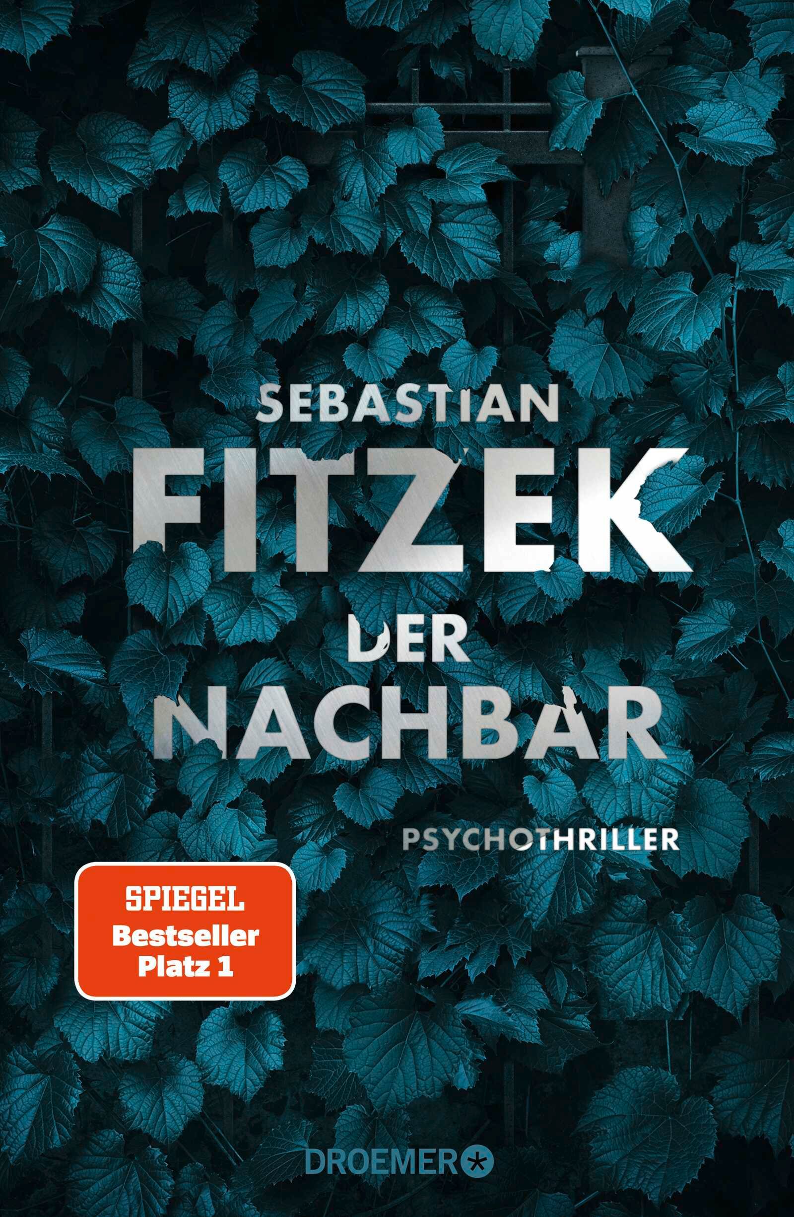 cover_Der_Nachbar_Psychothriller