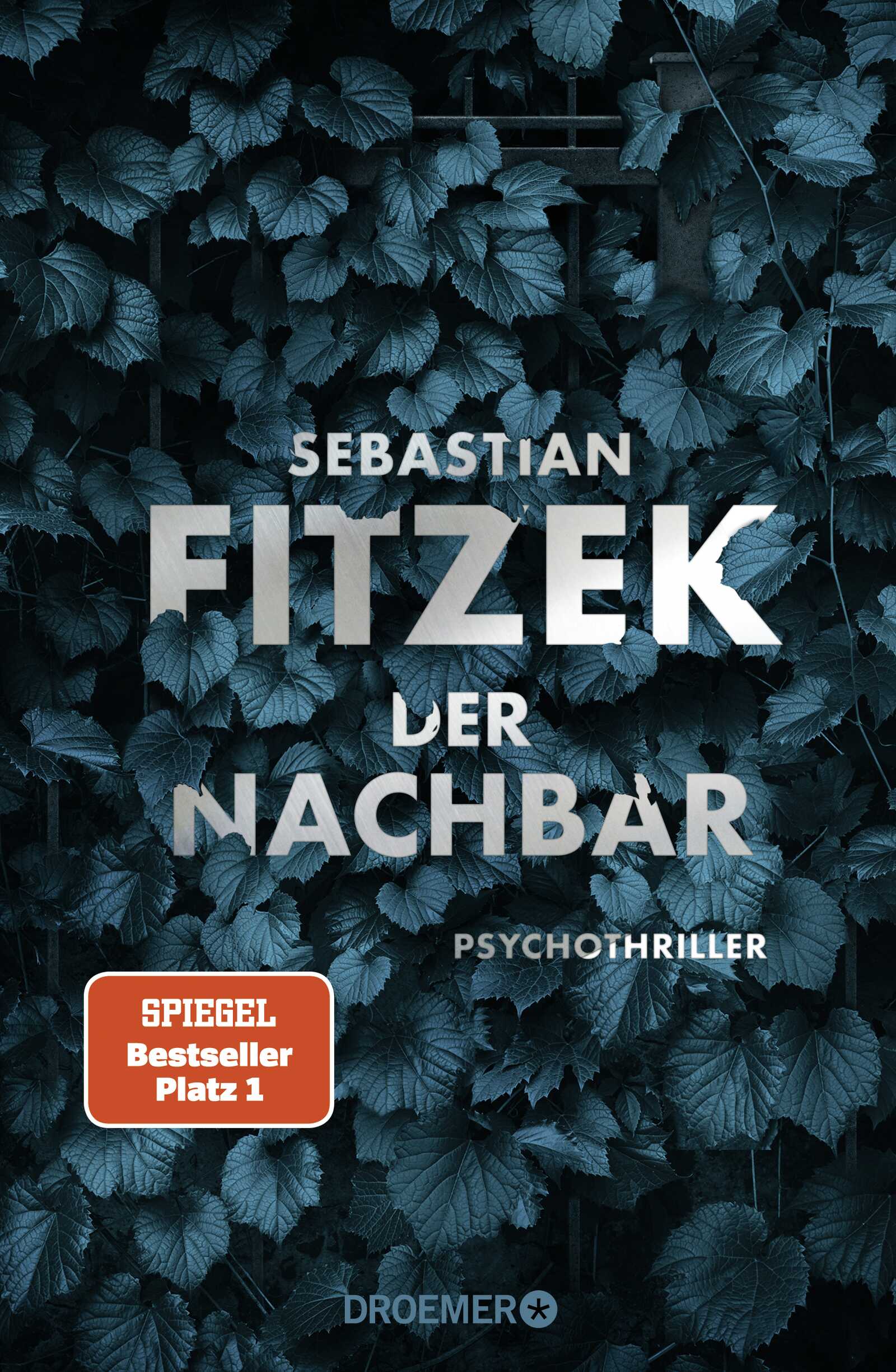 cover_Der_Nachbar_Psychothriller