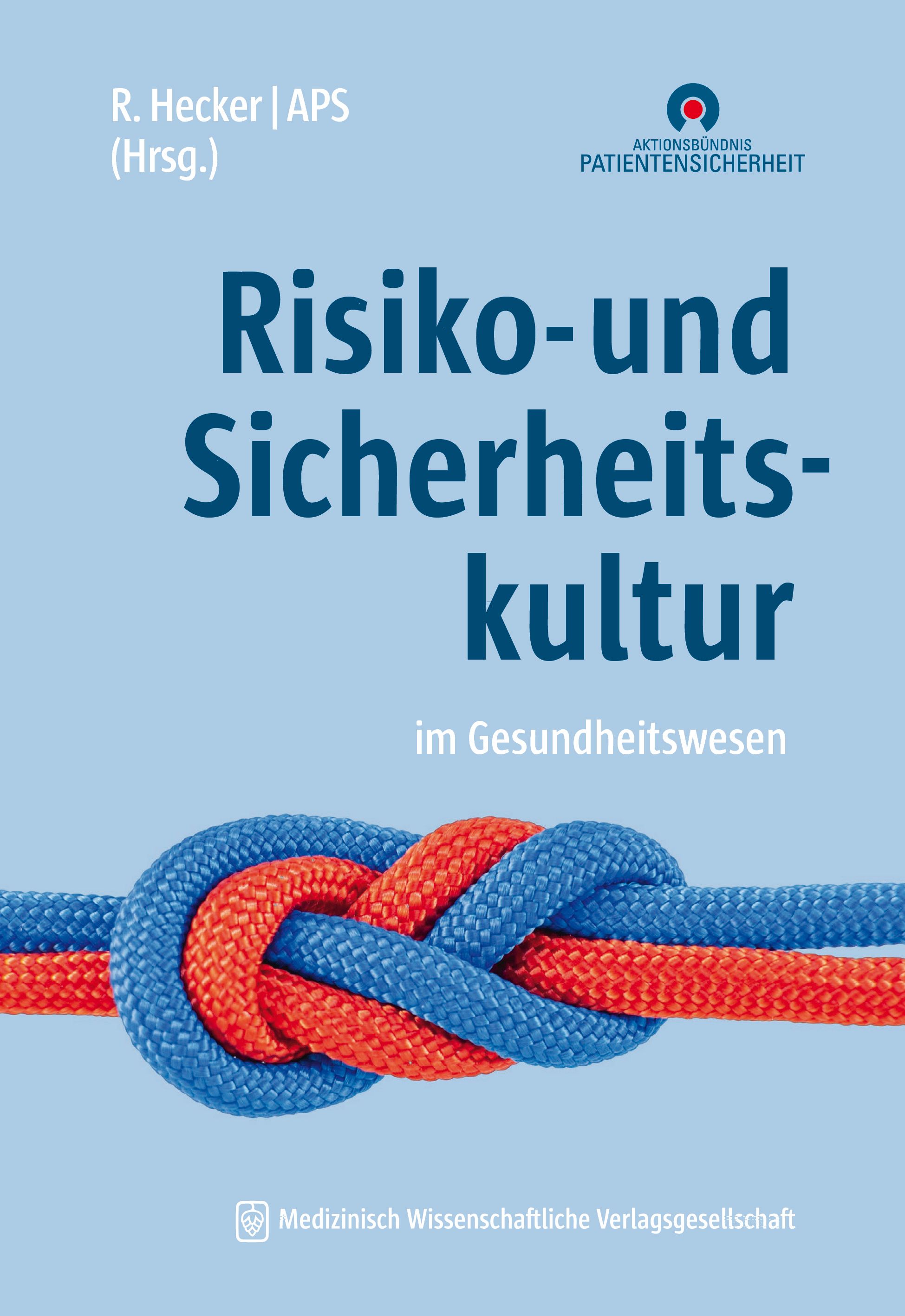 Cover Risiko- und Sicherheitskultur